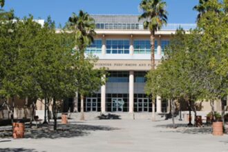 weather and pests in chandler