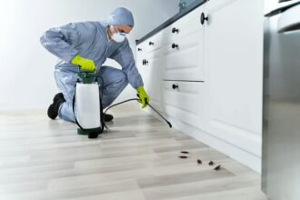 pest control strategies in chandler