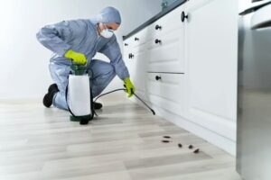 pest control strategies in Prescott
