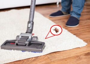 Effective Pest Control Prescott