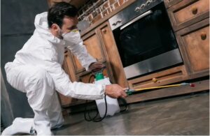 Pest Infestations in Prescott