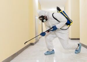 pest control in Prescott